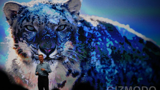 Everything You Need to Know About Snow Leopard